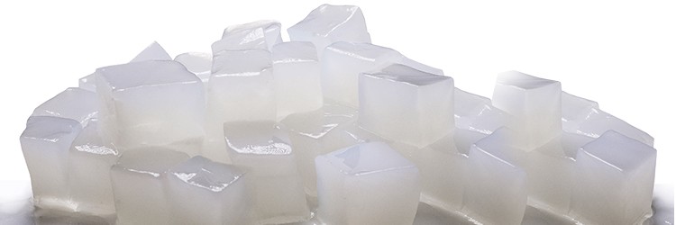 Nata de coco vietnam, coconut jelly vietnam  Sophia Whatsapp+84987364651