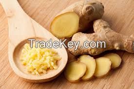 fresh ginger  with  a best price in 2018 -Wholesale organic fresh ginger price( Anna +84988332914)