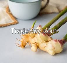 20kg mesh bag fresh ginger (Anna+84988332914)