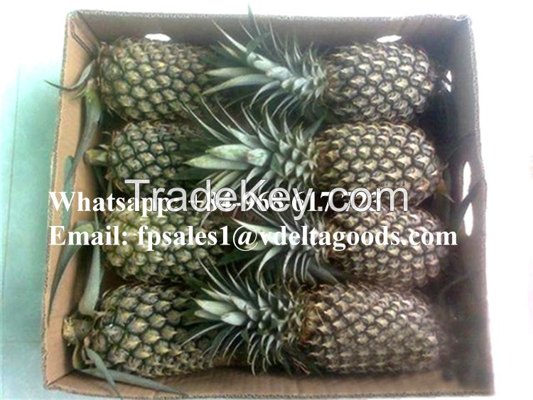 FRESH PINEAPPLE/CANNED PINEAPPLE VIETNAM/Ms.Hanna	