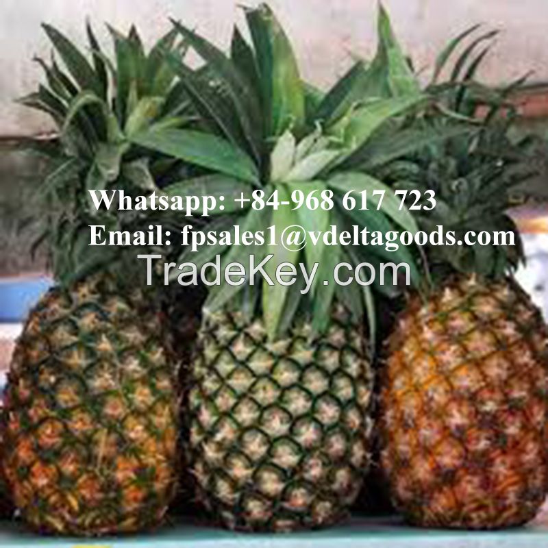 MD2 PINEAPPLE/FRESH PINEAPPLE PRICE/Ms.Hanna		