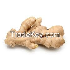 High Quality Dried Ginger Powder/Ginger Flakes(Anna+84988332914)