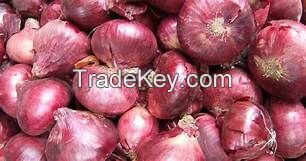 RED oinons  with best quality in 2018 ( Anna + 84988332914) 