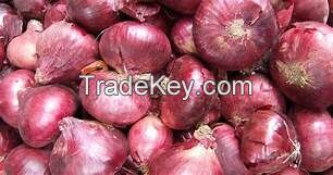 Shape onion  with best quality in 2018 ( Anna + 84988332914)