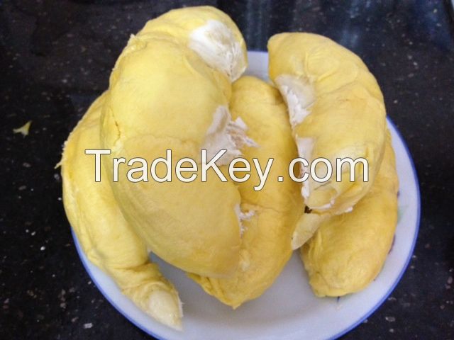 High quality best price fresh durian	