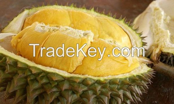 High quality best price fresh durian	