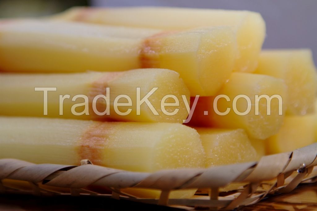 Fresh sugar cane for juice/Ms.Hanna	