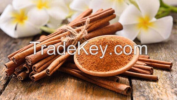 Best cinnamon powder with lowest price ( Anna +84988332914)