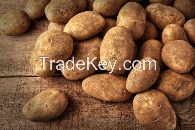 Potato starch wwhatsapp +84947 900 124 