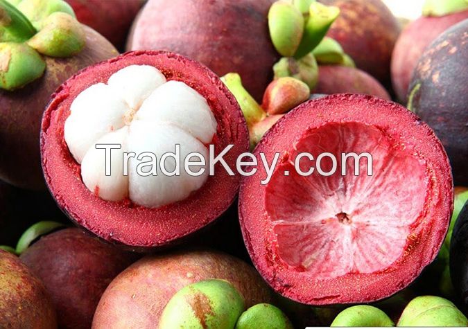 Fresh mangosteen export standard/Ms.Hanna	