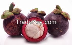 Fresh purple mangosteen lowest price for importers/Ms.Hanna	