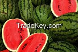 Sweet delicious Fresh Water Melon from Vietnam/Ms.Hanna	