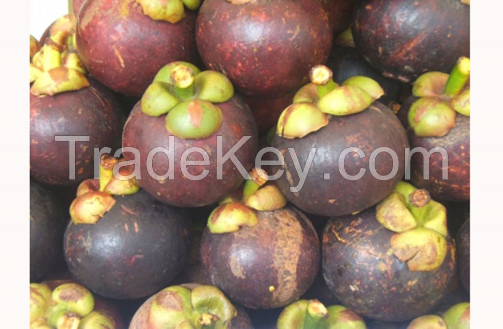 Purple mangosteen fruits hot sell 2018/Ms.Hanna	