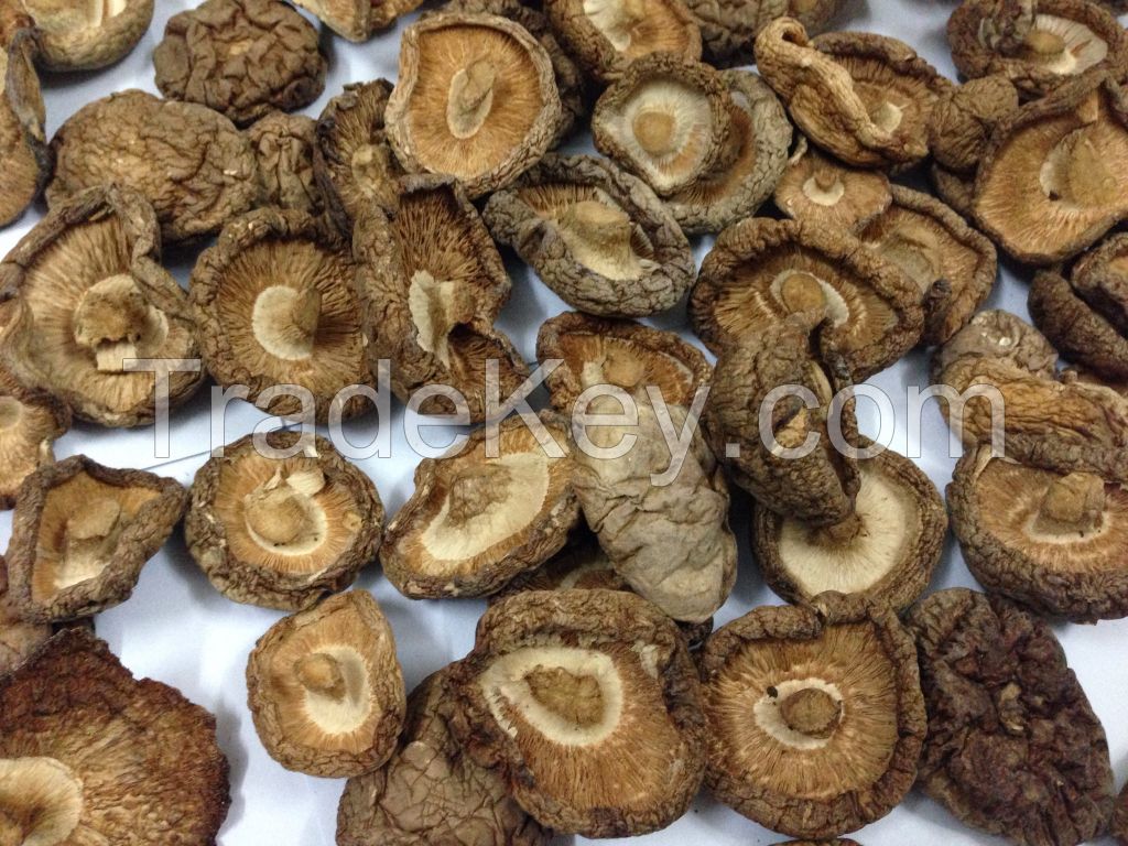 Dried mushroom/Dried shiitake mushroom from Vietnam/Ms.Hanna