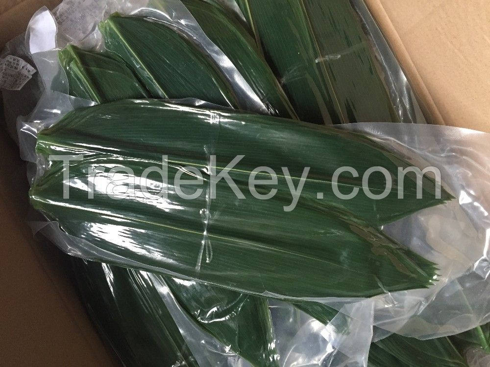 Fresh bamboo leaf- dried bamboo leaf whatsapp +84947 900 124 