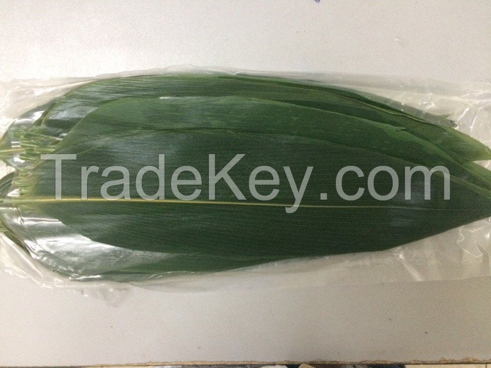 Fresh bamboo leaf- dried bamboo leaf whatsapp +84947 900 124 