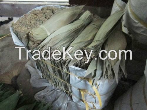 Fresh bamboo leaf- dried bamboo leaf whatsapp +84947 900 124 