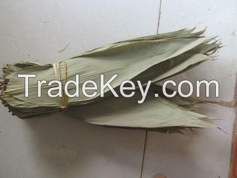 Fresh bamboo leaf- dried bamboo leaf whatsapp +84947 900 124 