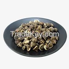 VIET NAM with best quantity Organic Moringa seeds in 2018 ( Anna + 84988332914)