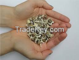 VIET NAM with best quantity Organic Moringa seeds in 2018 ( Anna + 84988332914)