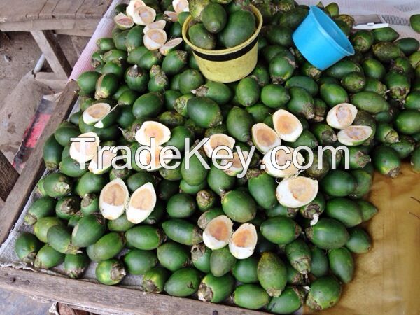 EXPORTING DRIED BETEL NUT FOR THE BEST PRICE ( Anna + 8498332914/Whatsapp)