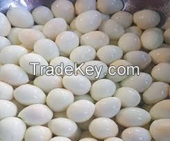 Canned boiled quail eggs - Quail eggs without shell Whatsapp +84 947 900 124
