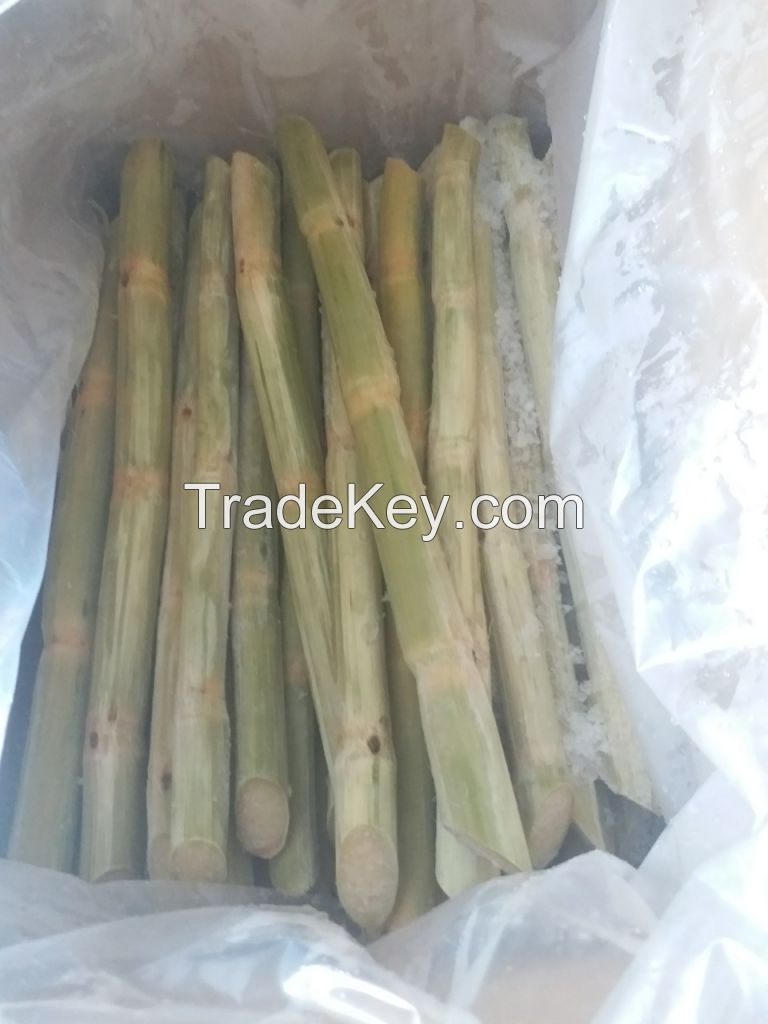 FROZEN SUGAR CANE/ FRESH FROZEN SUGAR CANE/ WHATSAPP +84947 900 124