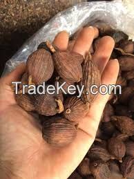  Organic Dried Cardamon (Anna +84988332914/Whatsapp)