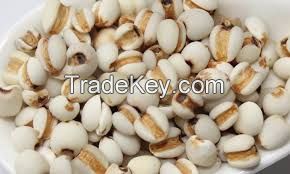 COIX SEEDS export for buyer ( Anna +84988332914/Whatsapp )