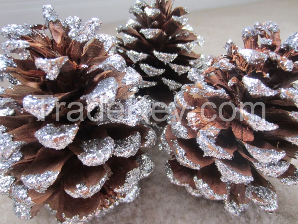 Pine cones for Christmas WHATSAPP +84947 900 124