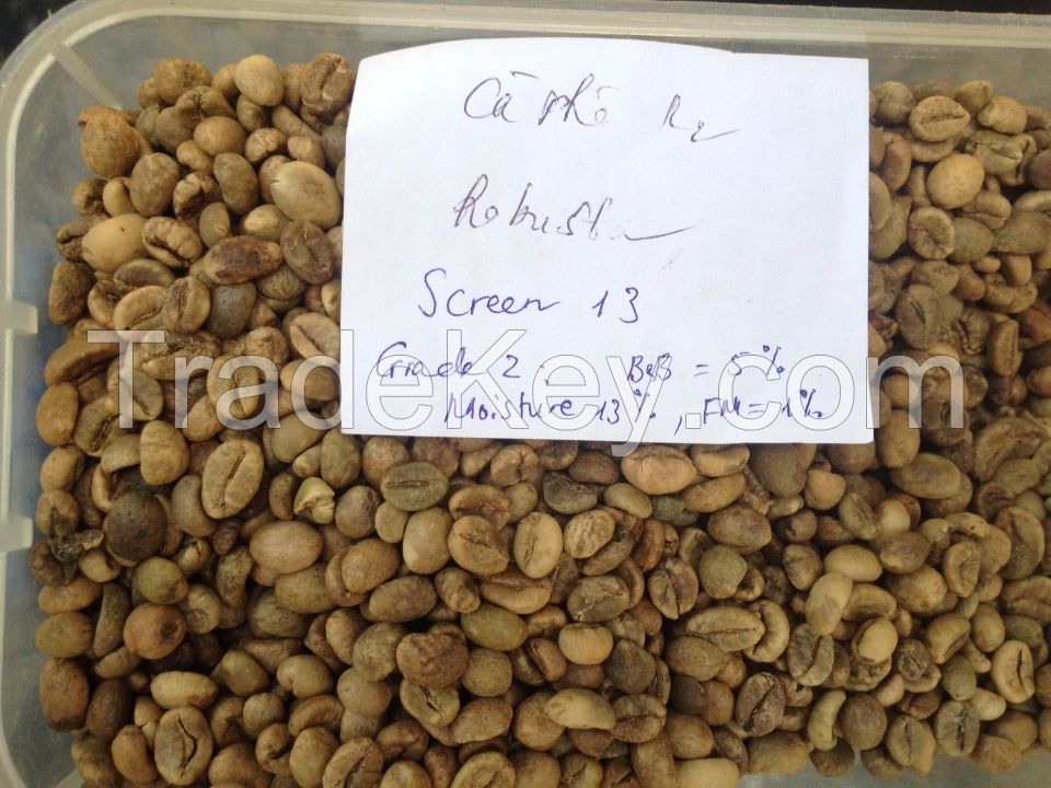 Vietnam arabica green coffee bean/Ms.Hanna	