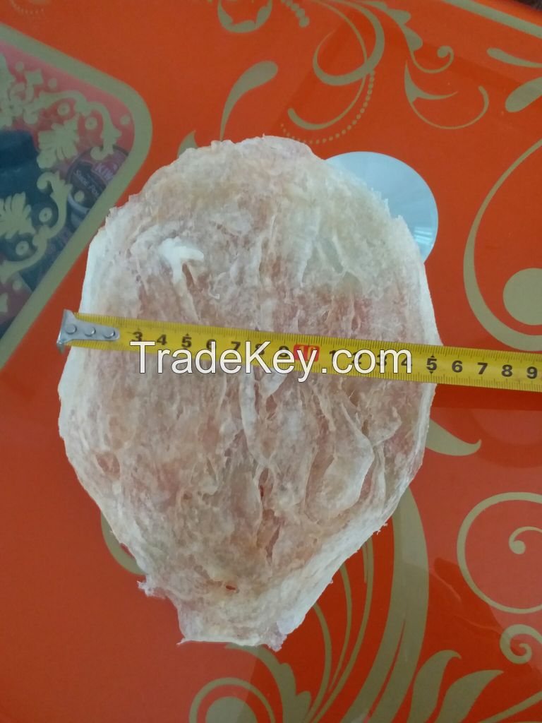 Dried fish bladder/High quality fish maw/Ms.Hanna	