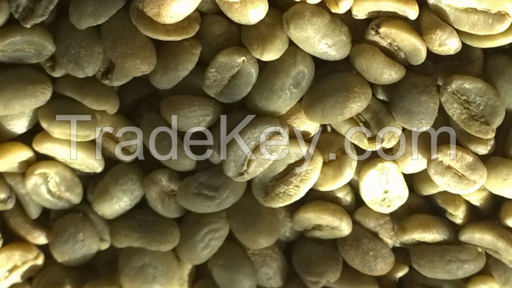 Bulk organic green coffee bean for beauty/Ms.Hanna 