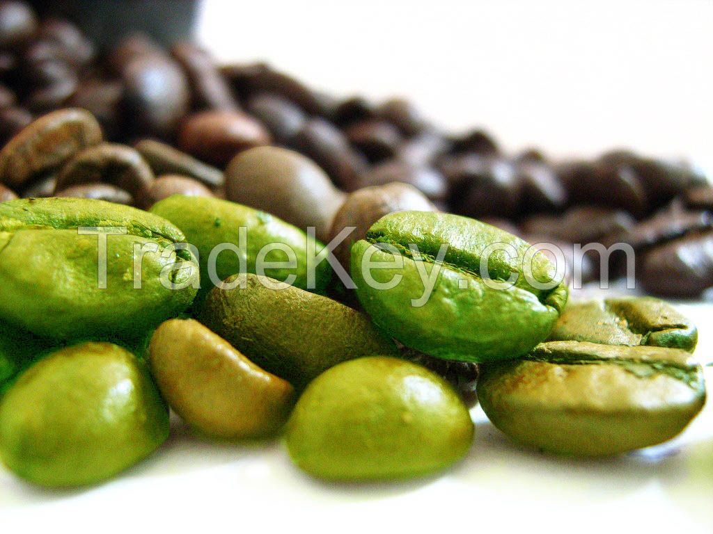 Bulk organic green coffee bean for beauty/Ms.Hanna 