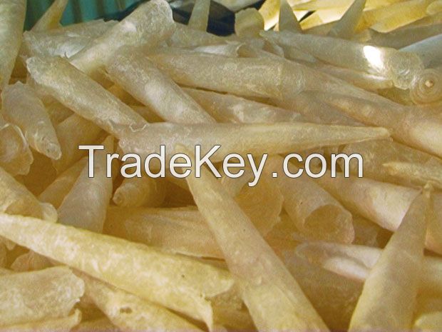 Bulk quantity dried fish maw for importers/Cheapest price high quality/Ms.Hanna	