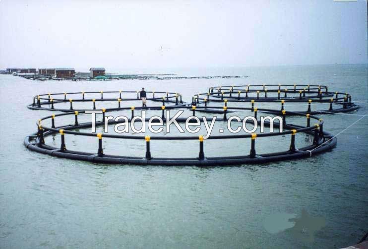 the small size round aquaculture fish cage for cabia/tilapia