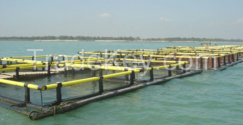 the hot square fish farming cage made in China