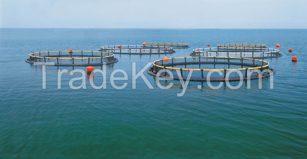 the small size round aquaculture fish cage for cabia/tilapia