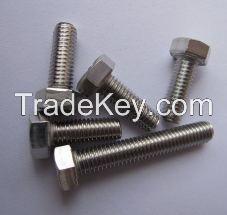 sus 304 316 hex bolt