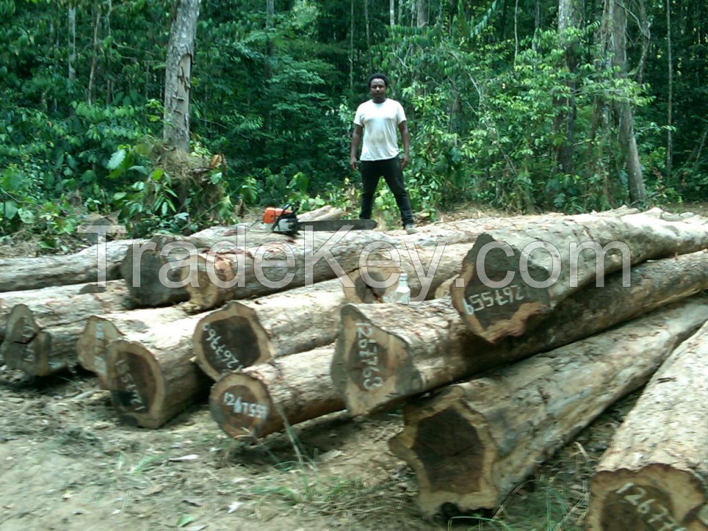 Tropical Wood from Guyana, Greenheart, Purpleheart 