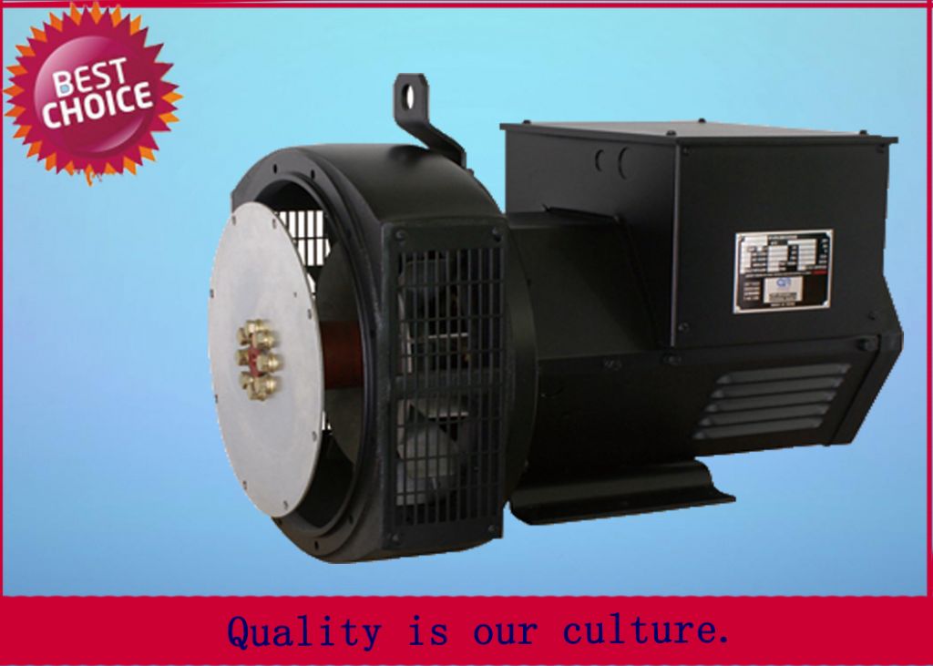 AC single phase output type magnet generator diesel China supplier dynamo prices