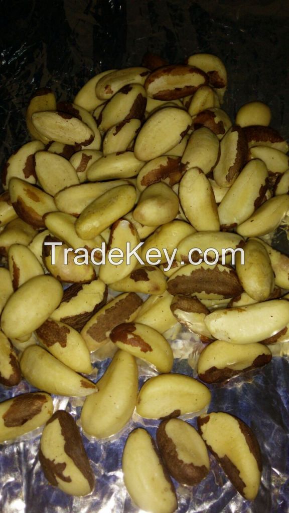 Brazil Nuts