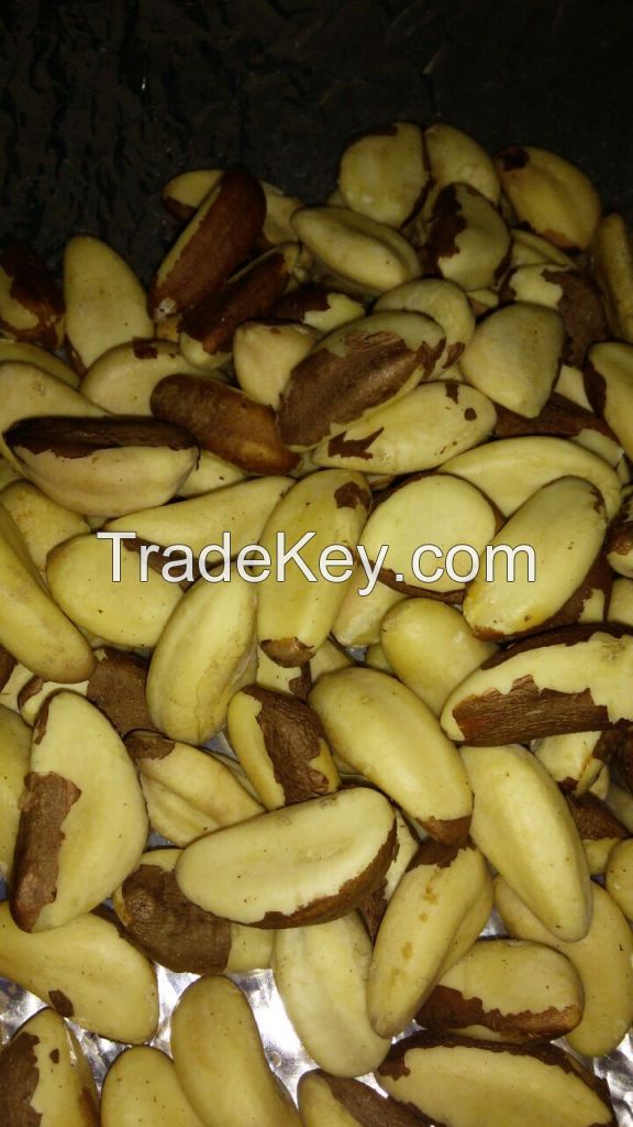 Brazil Nuts