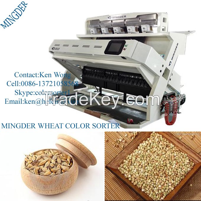 Latest Grain Color Sorte/Cereal color sorting machine