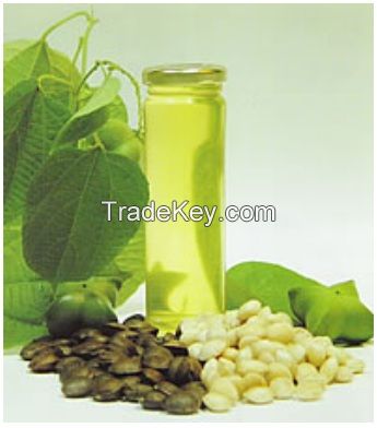 Sacha Inchi Oil -  Plukenetia Volubilis Oil - Inca Peanut Oil