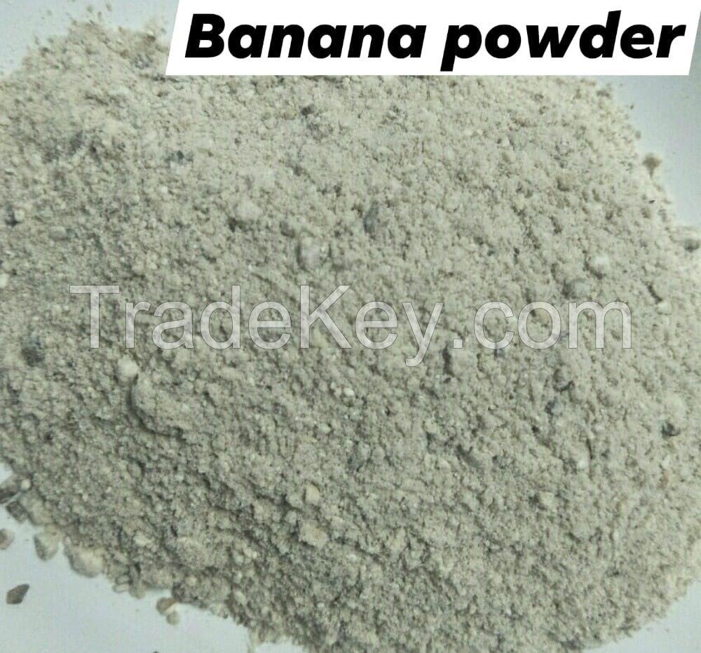 Freeze Dried Banana Powder