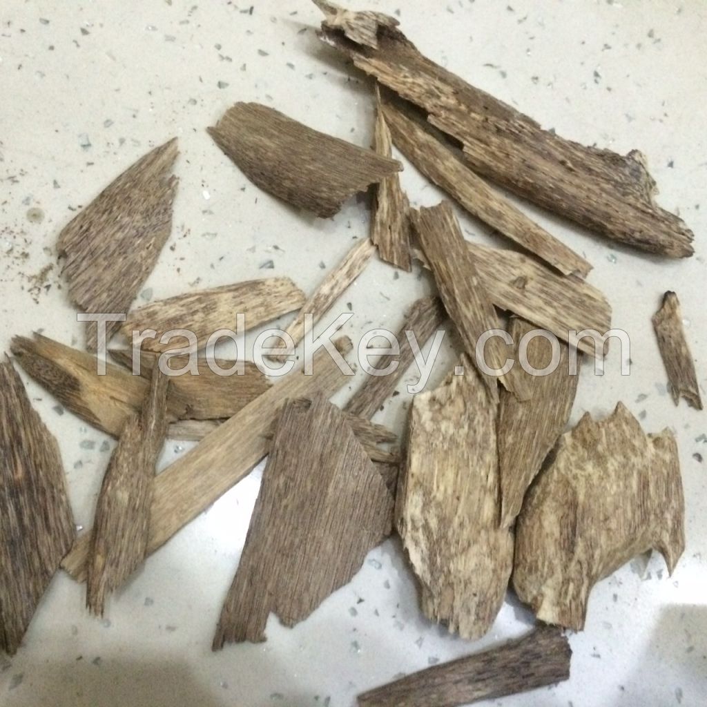 Buy agarwood, or oil, aud, the member of Green plantation capital 