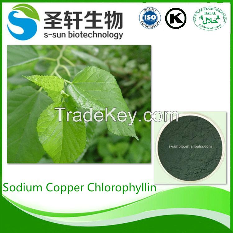 Mulberry extract chlorophyll powder sodium copper chlorophyll
