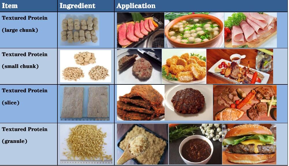 TEXTURED SOY PROTEIN