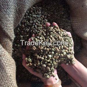 Robusta Coffee with cheap price and good quality from vietnam